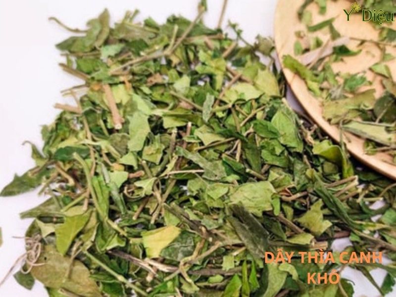 Uống Nhiều Dây Thìa Canh Có Tốt Không ? Cần Lưu Ý Những Gì ?